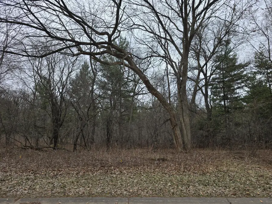 L2,B1 131st Street Nw, Zimmerman, MN 55398 - #2