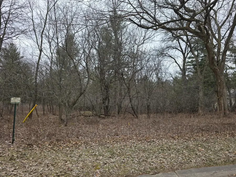 L2,B1 131st Street Nw, Zimmerman, MN 55398 - #3