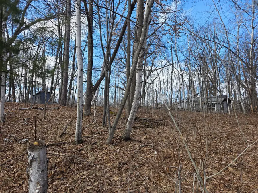 00 Highway W, Weyerhaeuser, WI 54895 - #3