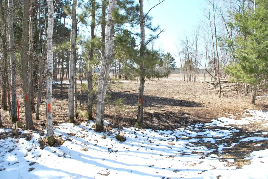 TBD Pacer Drive, Browerville, MN 56438 - #3
