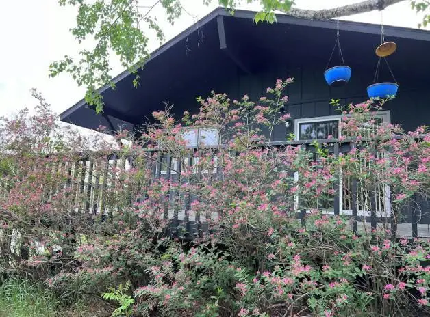 5834 County 4 Ne, Remer, MN 56672 - #1