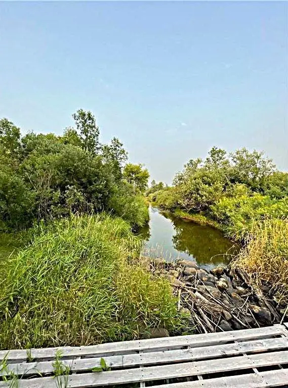 16913 220th Street, Milaca, MN 56353 - #1