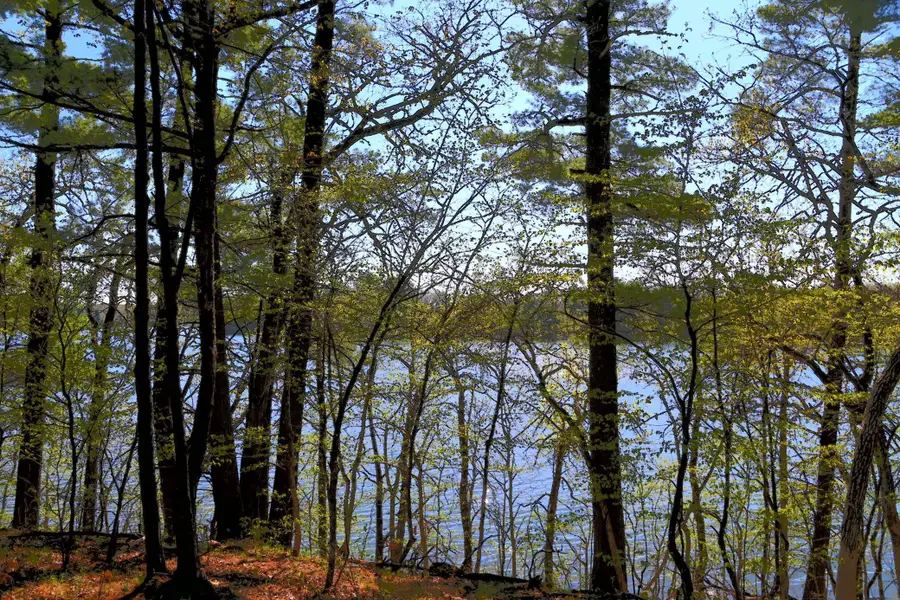 40039 County Rd 17, Browerville, MN 56438 - #3