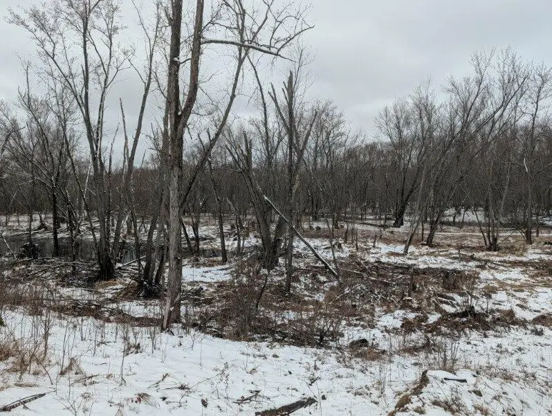 1739 Liberty Street, Mora, MN 55051 - #1