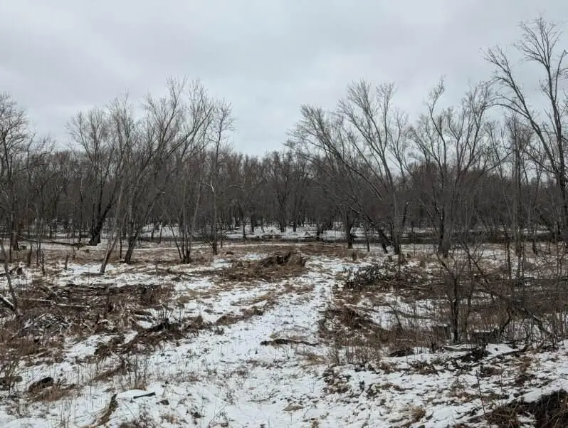 1739 Liberty Street, Mora, MN 55051 - #3