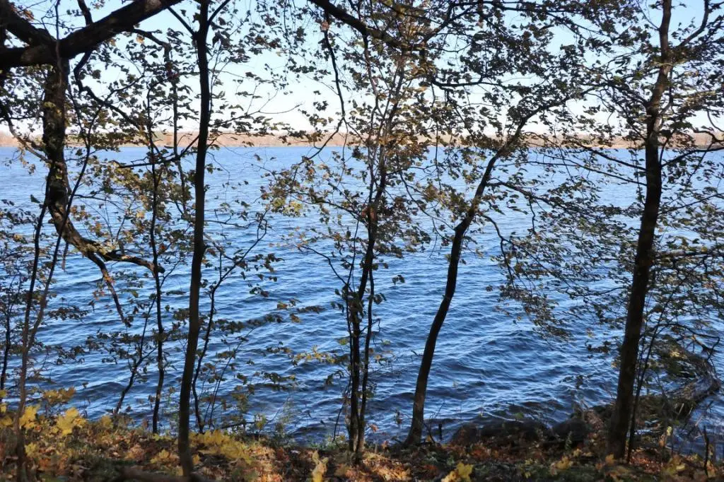 XXX7 Serenity Lane Sw, Alexandria, MN 56308 - #1