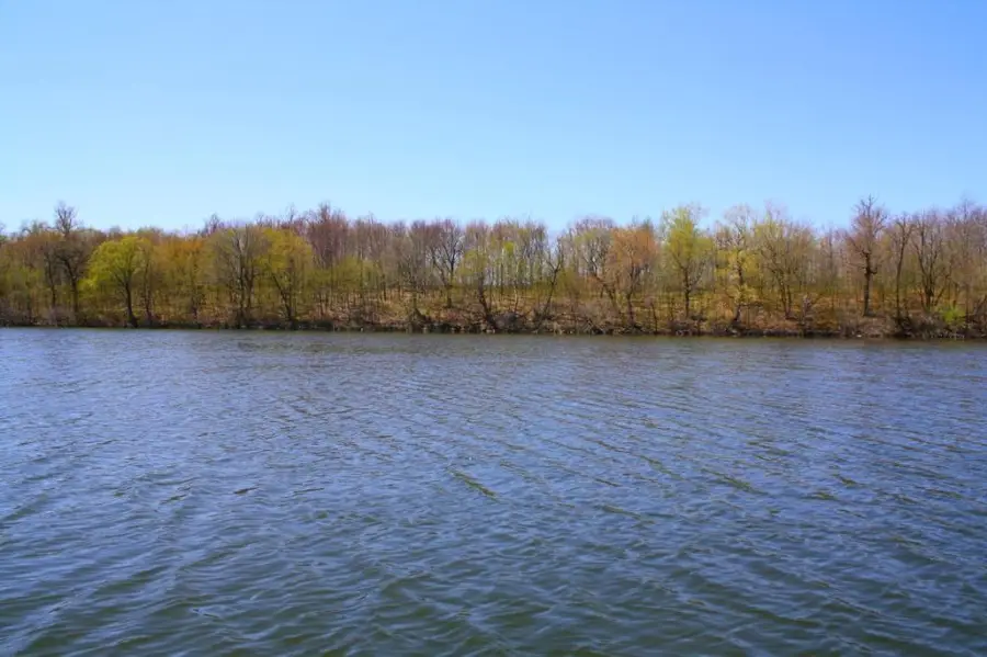 XXX7 Serenity Lane Sw, Alexandria, MN 56308 - #2