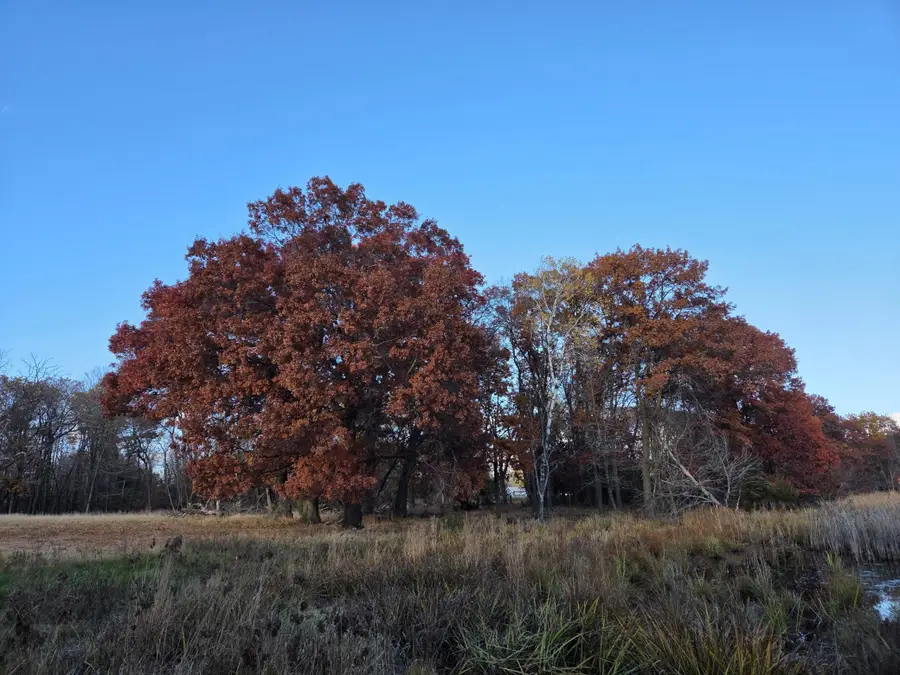 251x 183rd Ave Ne, Wyoming, MN 55092 - #2