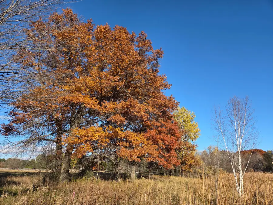 251x 183rd Ave Ne, Wyoming, MN 55092 - #3