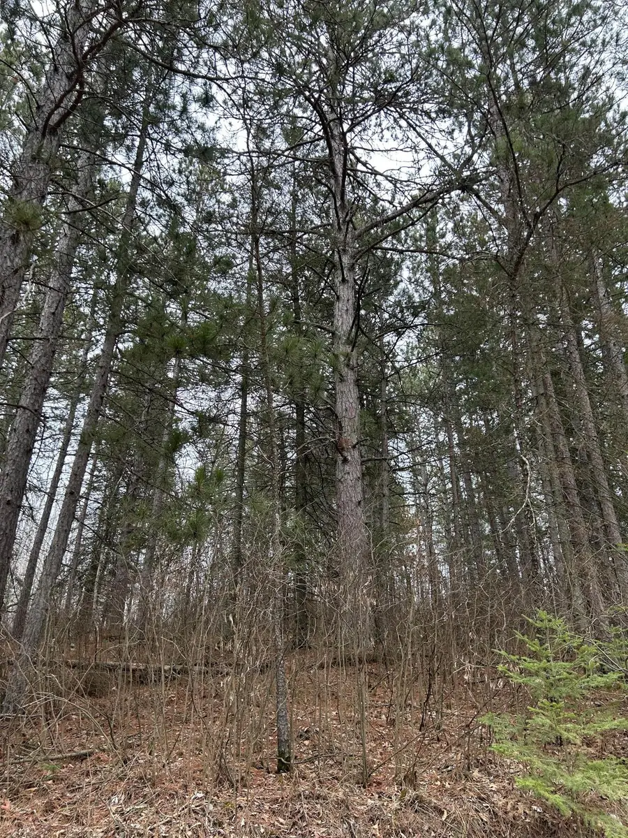 TBD Island Michelle Lee Trail, Park Rapids, MN 56470 - #2