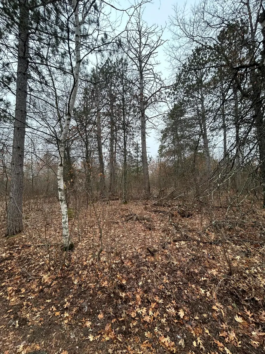 TBD Island Michelle Lee Trail, Park Rapids, MN 56470 - #3