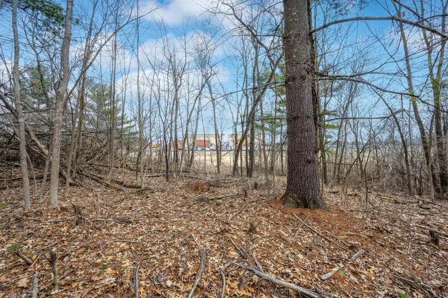 TBD Hwy 46, Balsam Lake, WI 54810 - #2