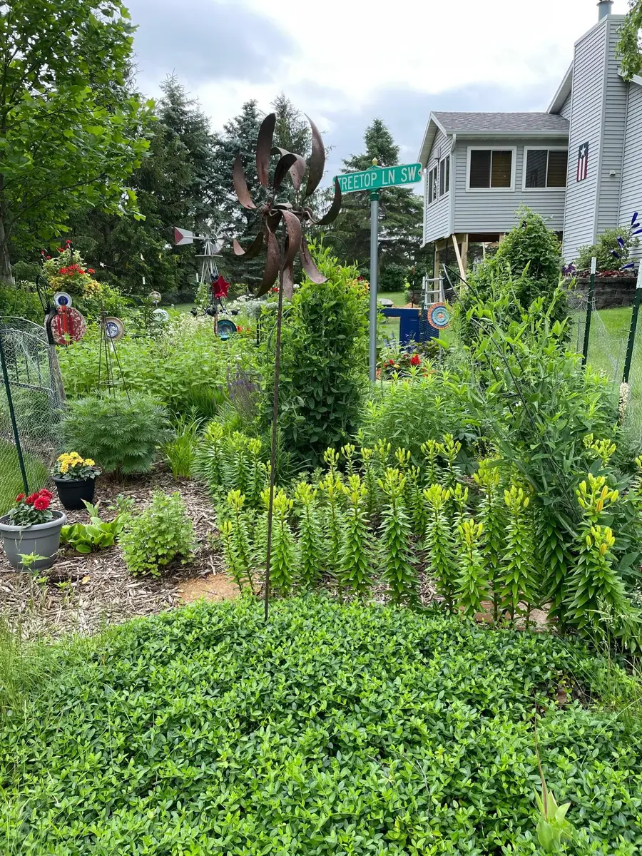 745 Treetop Lane Sw, Oronoco, MN 55960 - #3