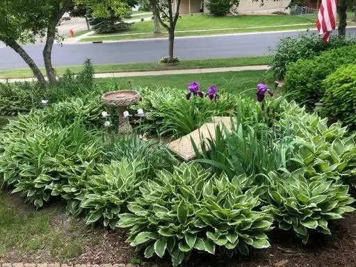 4404 57th Street Nw, Rochester, MN 55901 - #3