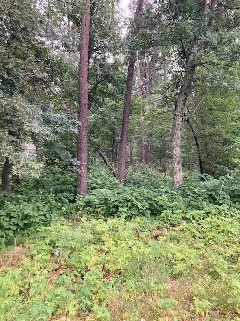 Lot 39 & 40 Owl Circle, Breezy Point, MN 56472 - #2