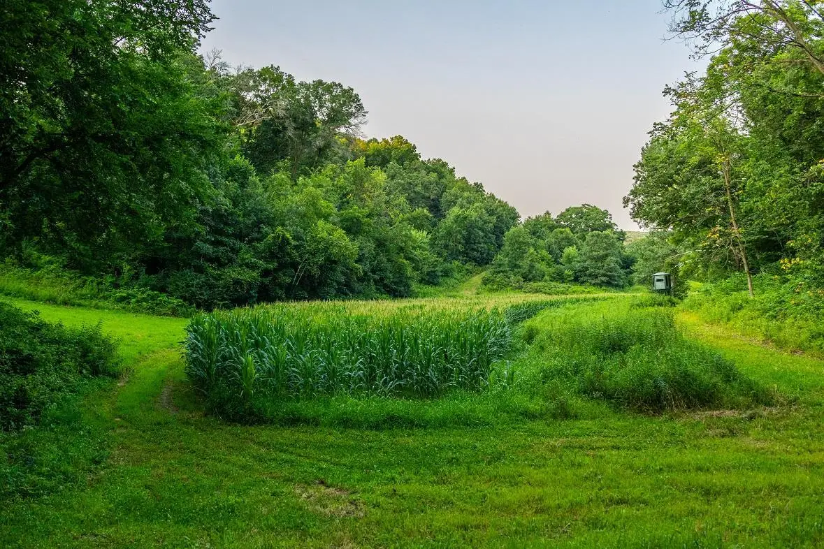 0 County Road S, Blair, WI 54616 - #1