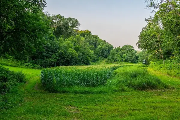 0 County Road S, Blair, WI 54616