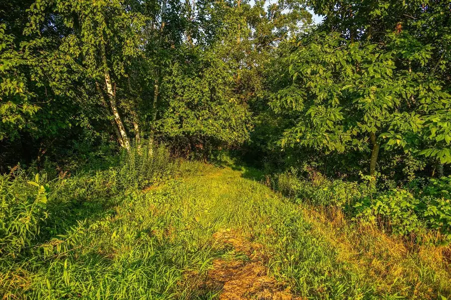 TBD Cty Road S, Blair, WI 54616 - #2