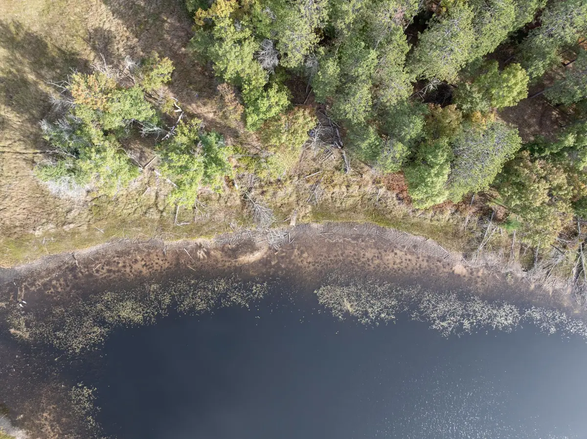 xxx County Road H Road, Danbury, WI 54830 - #1