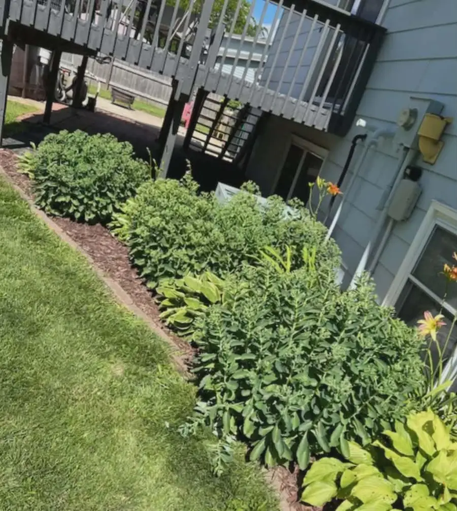 608 S 1st Avenue E, Lake Mills, IA 50450 - #2