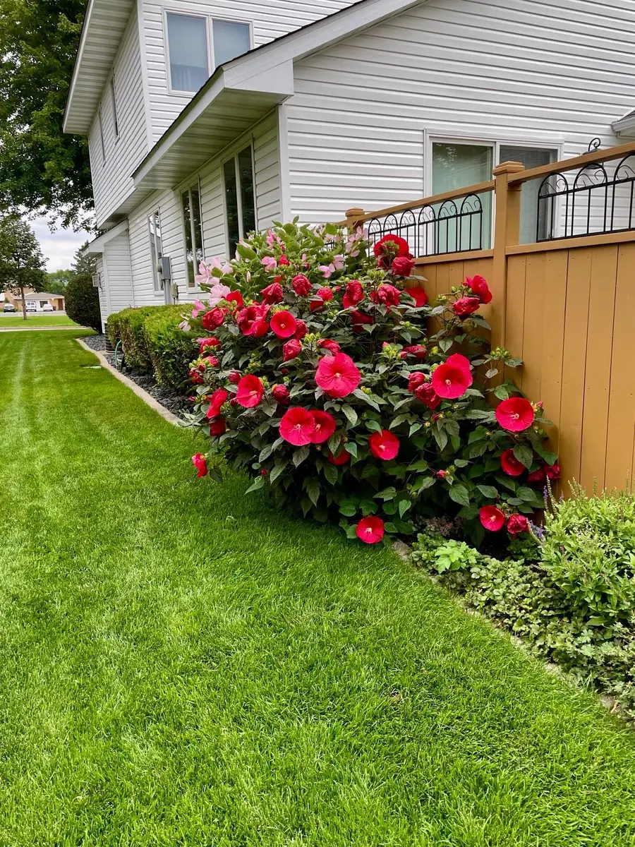 900 Laurel Avenue, Saint Paul Park, MN 55071 - #2