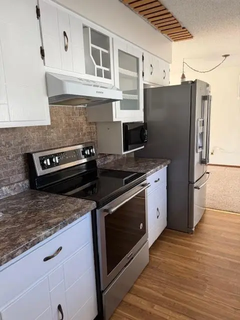 202 W Main Street, Battle Lake, MN 56515 - #3