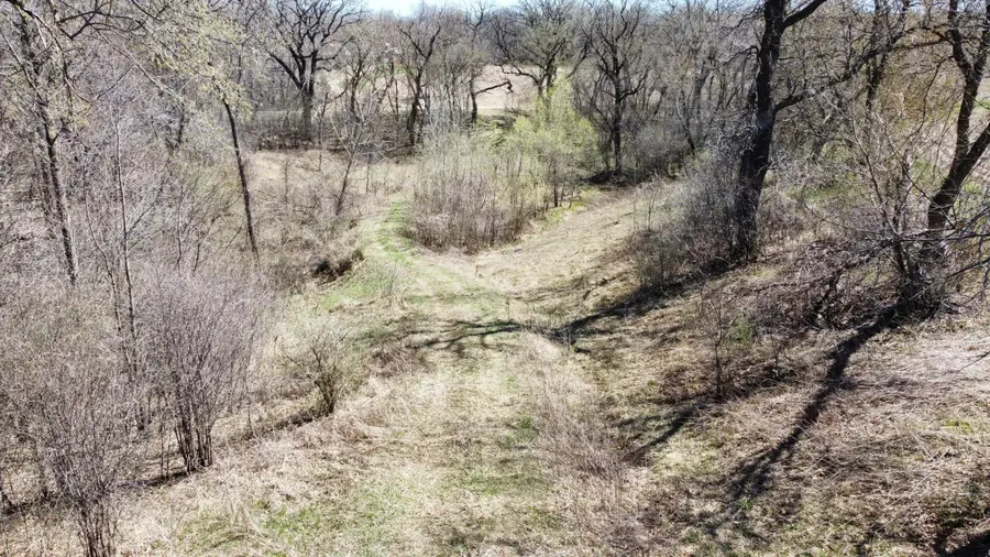 TBD County 49 Boulevard, Dennison, MN 55018 - #2