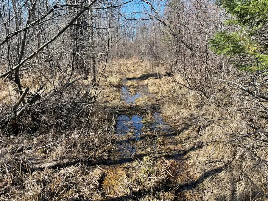 Hwy 133 Hwy # 133, Meadowlands, MN 55765 - #3