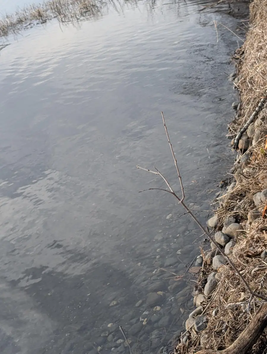 1834 Brainard Boulevard, Detroit Lakes, MN 56501 - #2