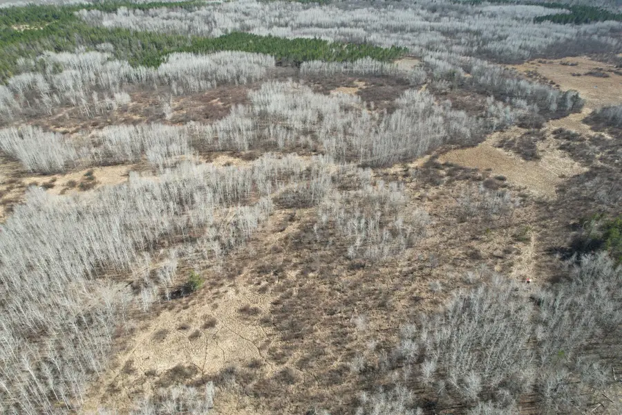 TBD Anderson Crossing Road, Sebeka, MN 56477 - #3