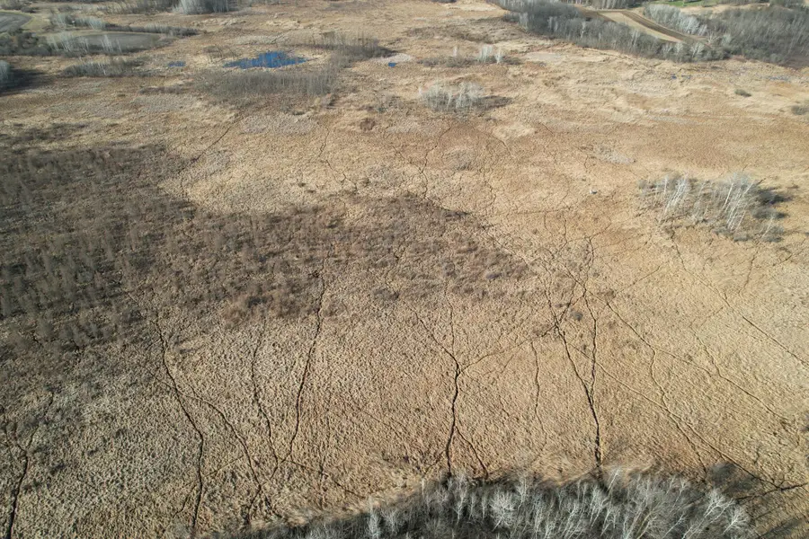 TBD 320th Street, Browerville, MN 56438 - #3