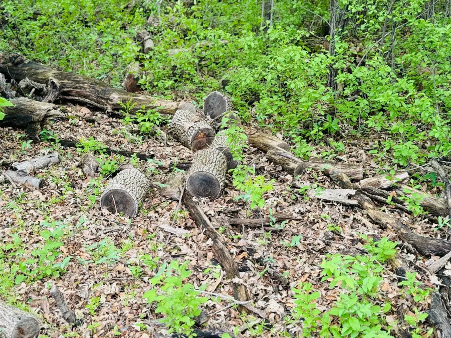 Lot 3 Canterbury Sands Trail, Battle Lake, MN 56515 - #3