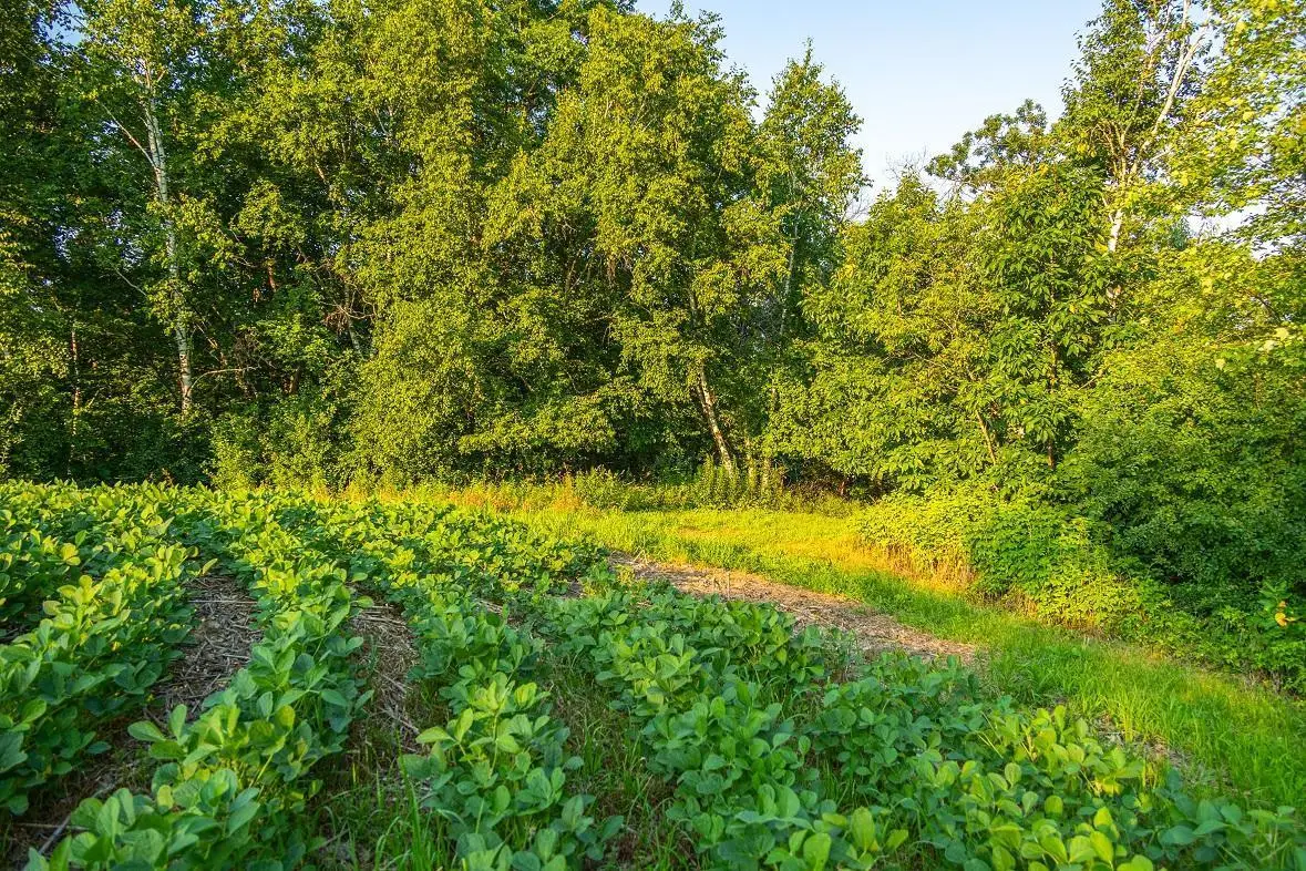 0 Cty S Road, Blair, WI 54616 - #1