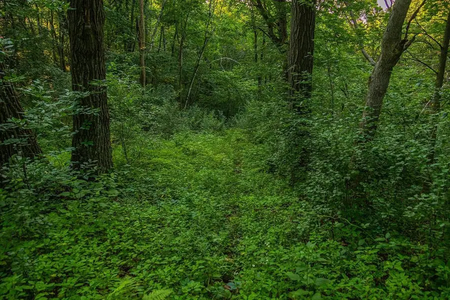 0 Cty S Road, Blair, WI 54616 - #3