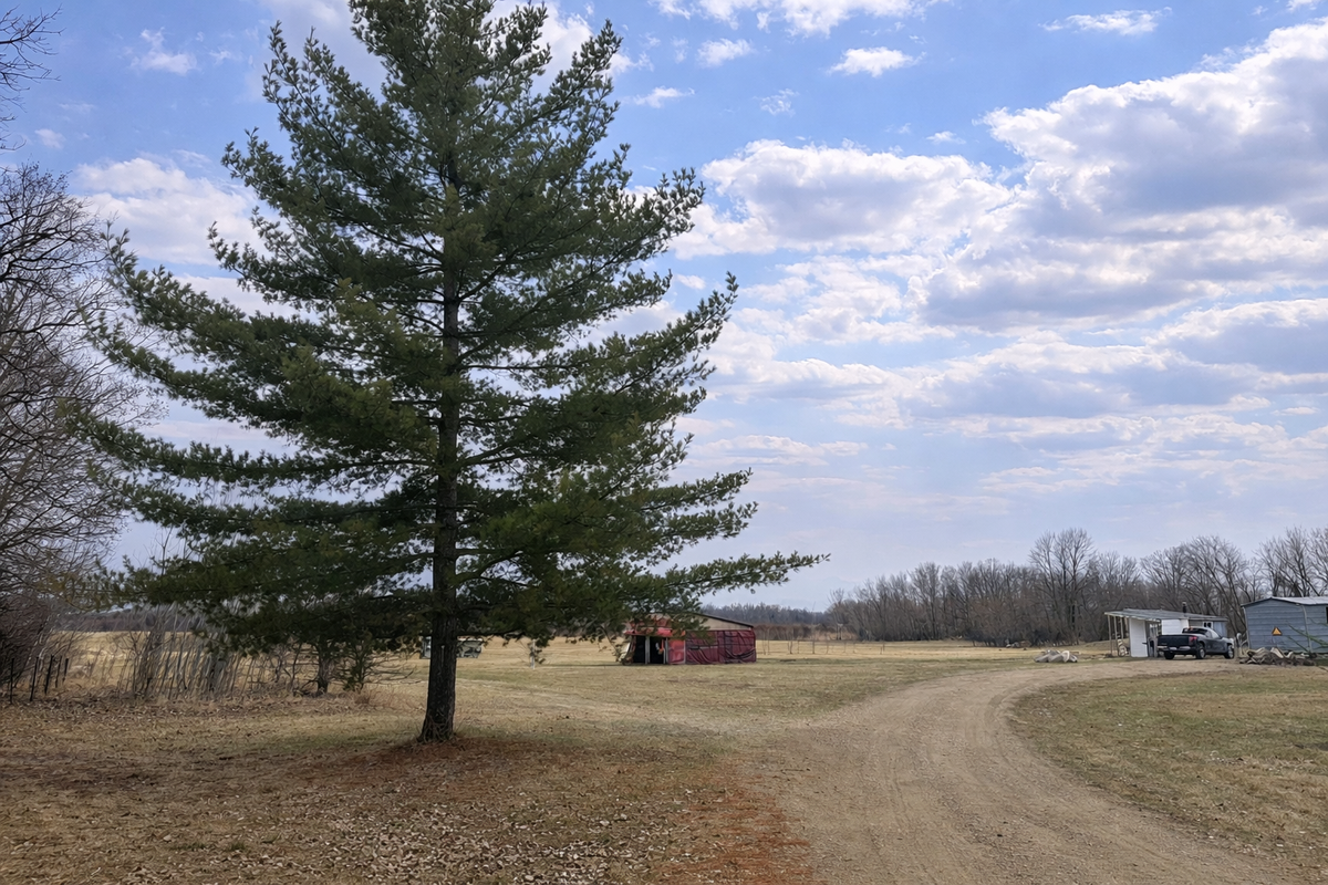 62362 450th Street, Sebeka, MN 56477 - #1