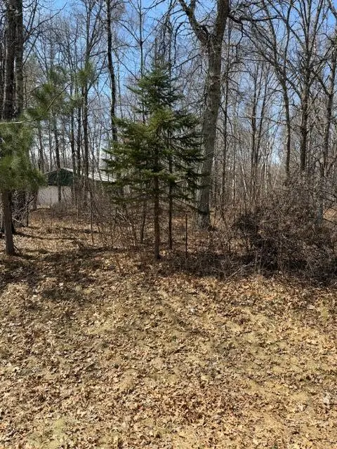 0 Sugarloaf Road, Crosslake, MN 56442 - #2