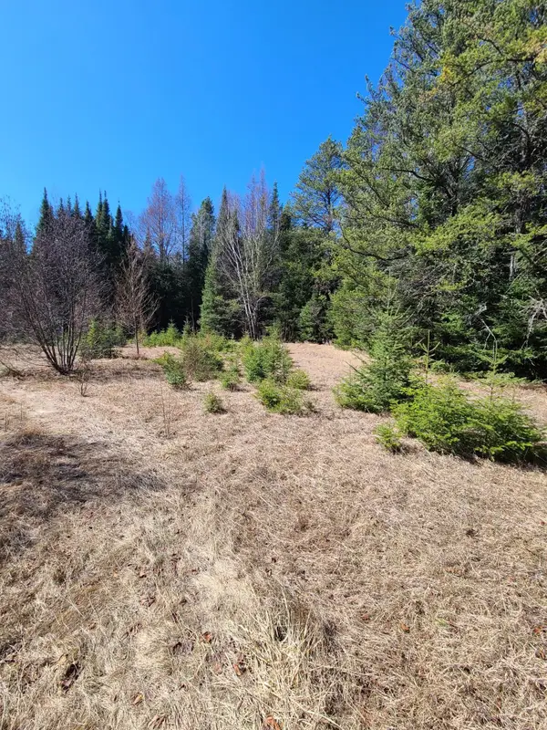 3121 Highway 21, Babbitt, MN 55706