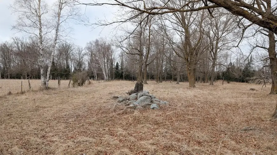 TDB County Rd 453, Bovey, MN 55709 - #2