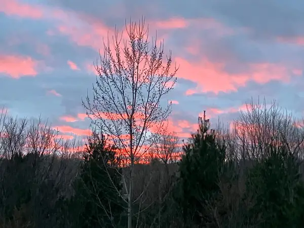 1804 Northbrook Place, Owatonna, MN 55060