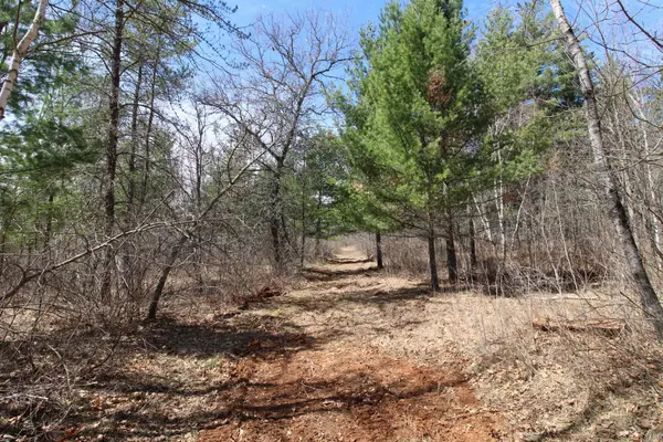 37441 Darsnek Road, Emily, MN 56447