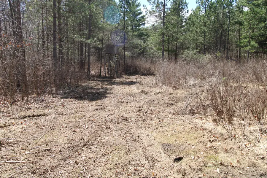 37441 Darsnek Road, Emily, MN 56447 - #2