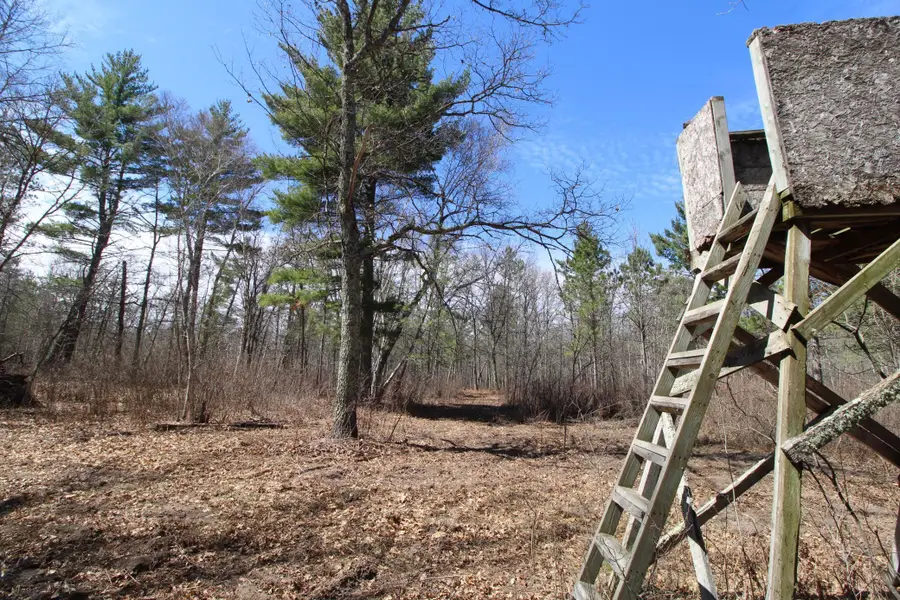 37441 Darsnek Road, Emily, MN 56447 - #3