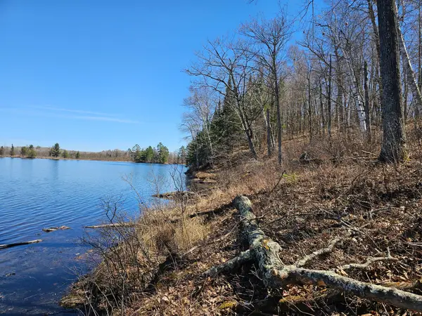 TBD Tract B Swanson Road, Deerwood, MN 56444