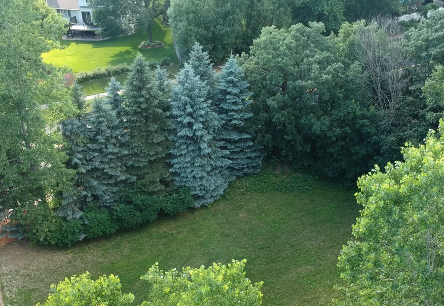 14821 Lac Lavon Drive, Burnsville, MN 55306 - #2