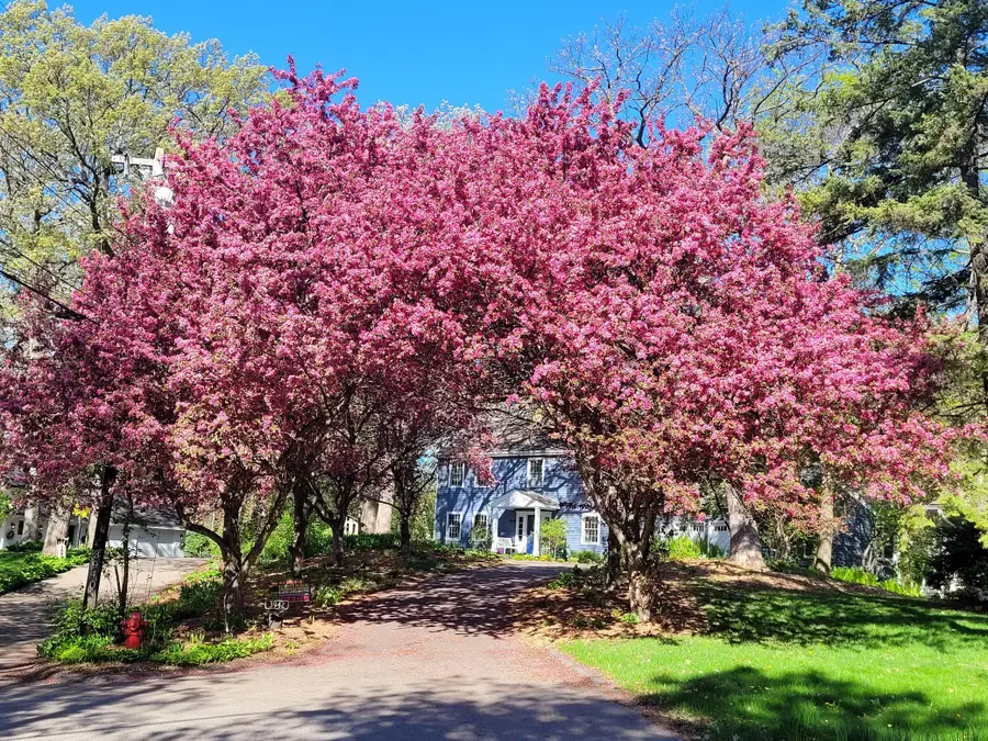 3942 Willmatt Hill, Minnetonka, MN 55305 - #2