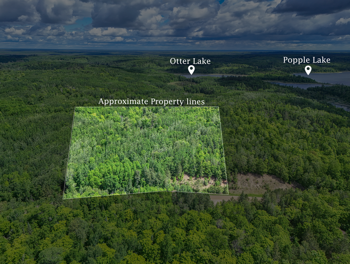 TBD "Lot A" Co Rd 533, Effie, MN 56639 - #1