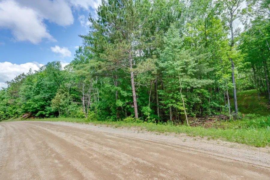 TBD "Lot A" Co Rd 533, Effie, MN 56639 - #3