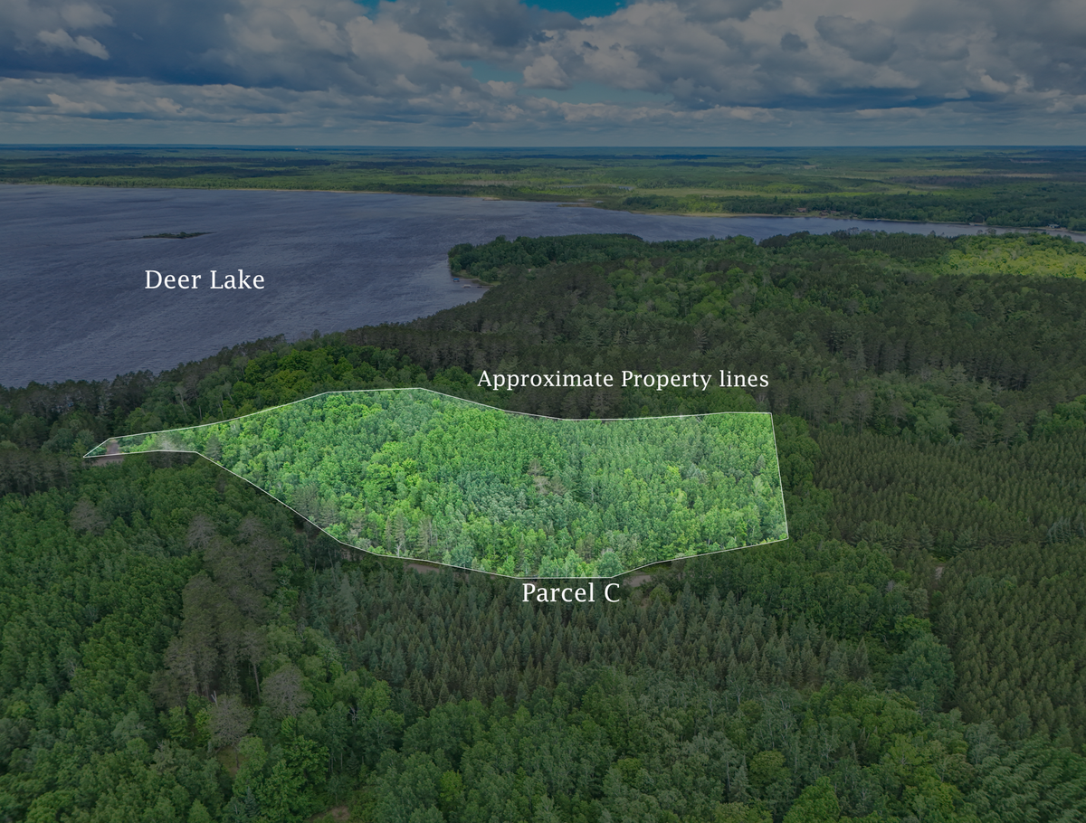 TBD "Lot C" County Road 533, Effie, MN 56639 - #1