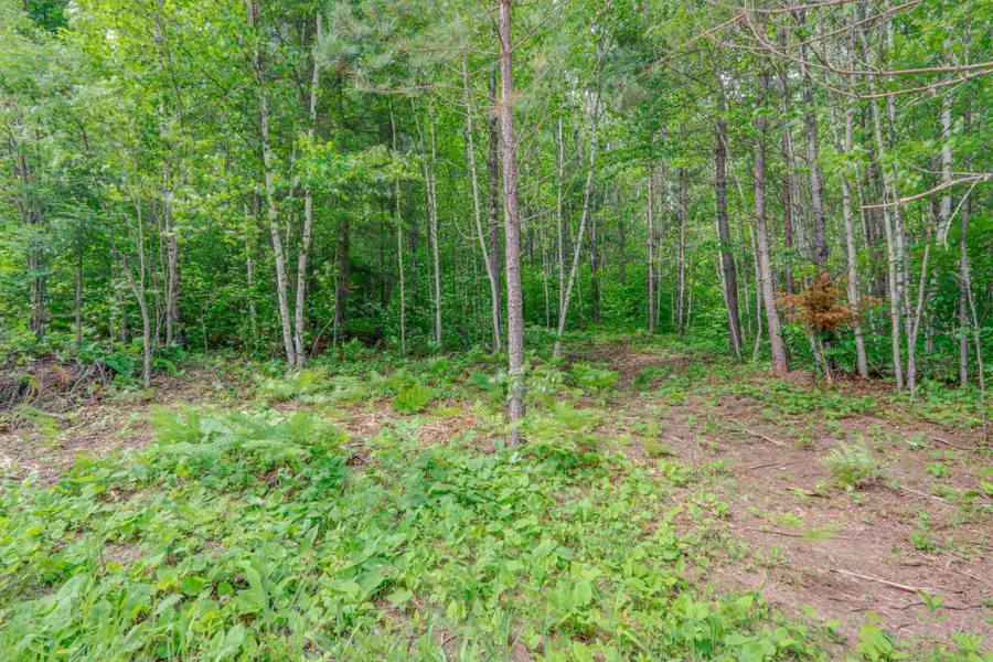 TBD "Lot C" County Road 533, Effie, MN 56639 - #3