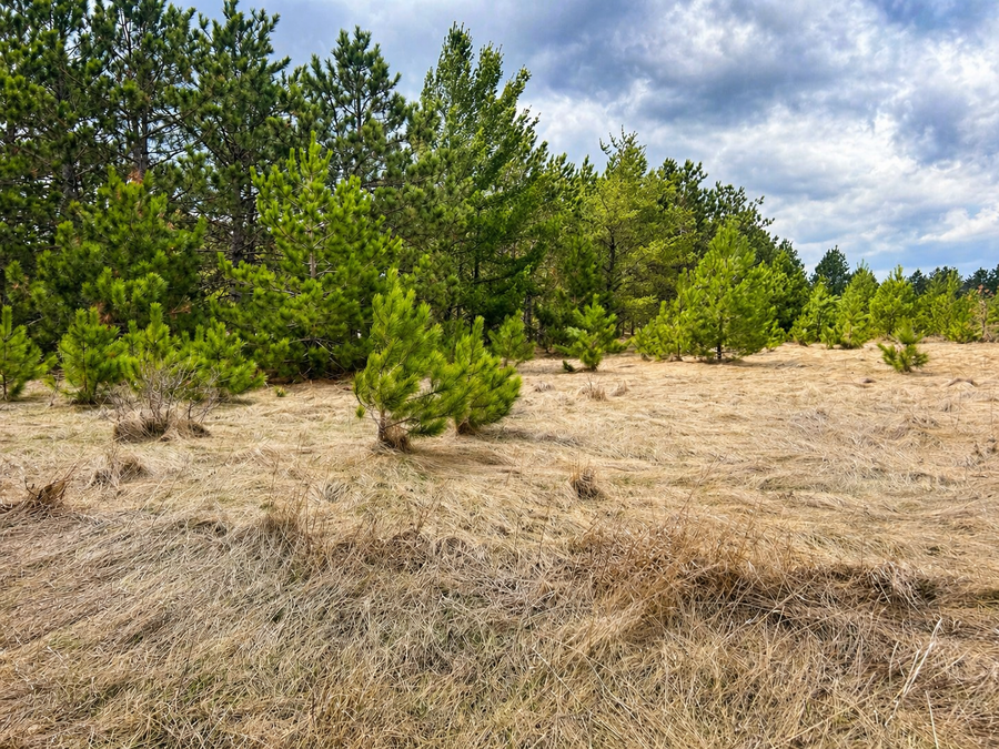 TBD 8th Street W, Park Rapids, MN 56470 - #2